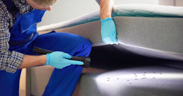 Best Local Pest Control Services  in New London, WI