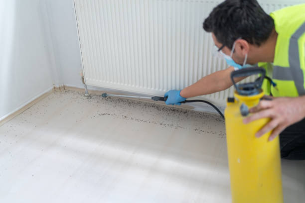Best Commercial Pest Control Services  in New London, WI